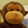 Profile picture for user Albert Lu